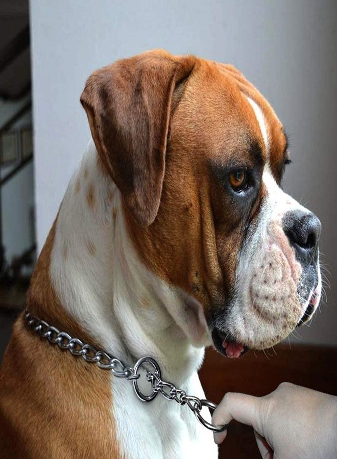 Pure Source India Diamond Cut Silver Dog Choke Chain Training Dog Collar for Cats, Puppies and Dogs (24 inch), Hard Metal, (Pack of 1) - Image 2